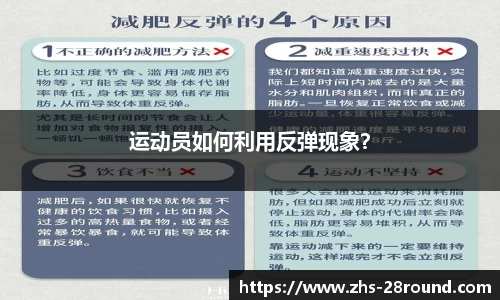 28圈官方网站