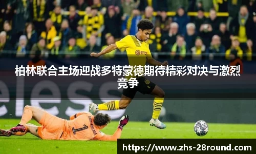 28圈官网